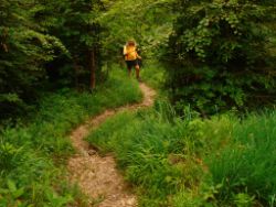 2013-06-22_Hirschhoerndl_Jochberg (026).JPG